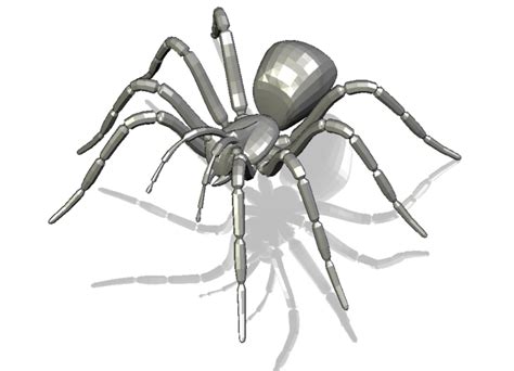 Printable 3D Spider Drawing