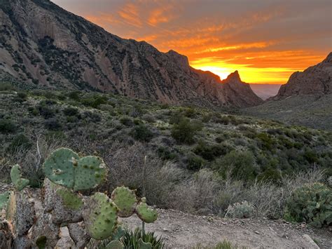 Big Bend National Park Camping Pics And Black Gap Road Video Bronco6g