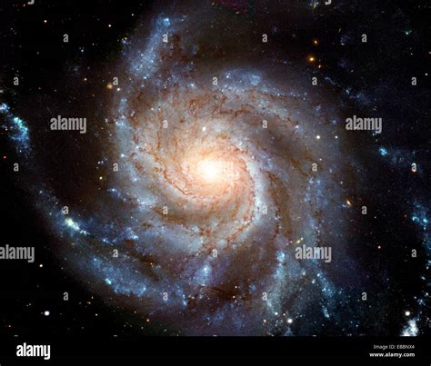 This New Hubble Image Reveals The Gigantic Pinwheel Galaxy One Of The