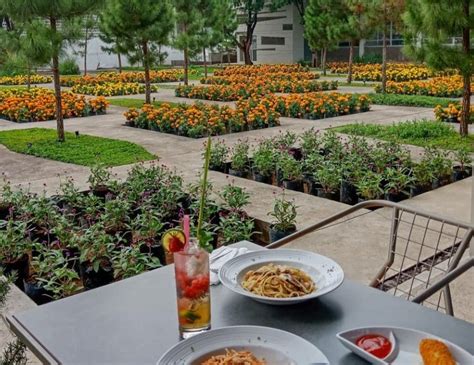 rumah atsiri indonesia informasi  keunikannya wisatasekolah