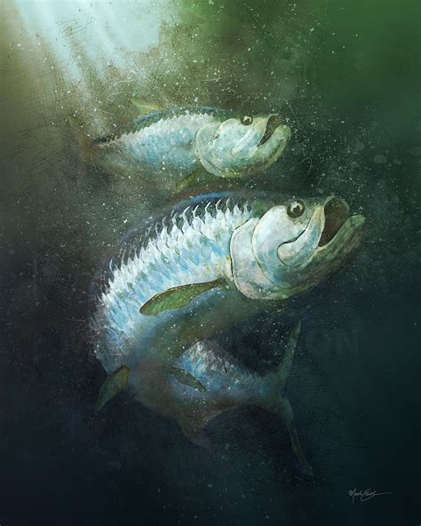 Tarpon Wallpaper