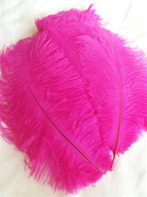 Hot Pink Ostrich Drab Feathers To Inches Long Costume Etsy