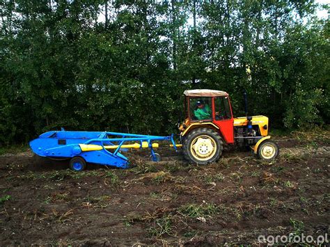 Fotografia Ciagnik Ursus C 330M Z 609 457550 Galeria Rolnicza Agrofoto