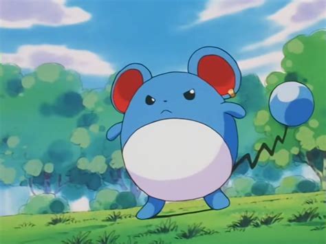 27 Fun And Interesting Facts About Marill From Pokemon Tons Of Facts