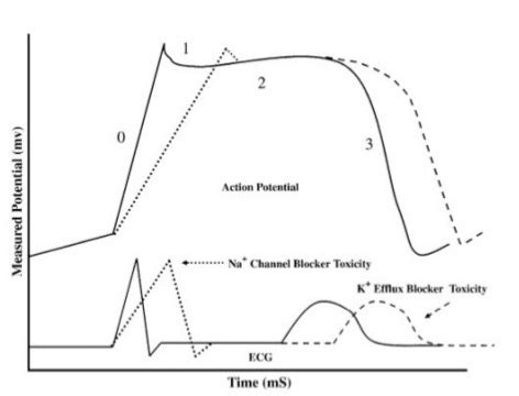 TCA Toxicity and Bicarbonate: Mechanism | Medicine Specifics