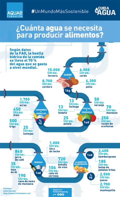 Cu Nta Agua Se Necesita Para Producir Alimentos Fundaci N Aquae