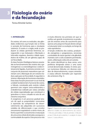 Aulas Pr Ticas Histologis Linf Tico Roteiro De Aulas Pr Ti Cas