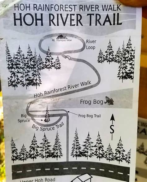 Hoh Rainforest River Walk | Disabled Hikers