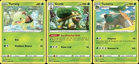 Torterra Nicknames 336 Awesome Naming Ideas