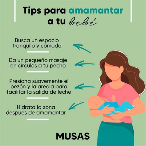 Crea Vínculos Con Tu Bebé A Través De La Lactania Materna 🤱💙 Te