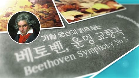 가을 담은 베토벤의 교향곡 5번 운명 Symphony No 5 By Beethoven Youtube