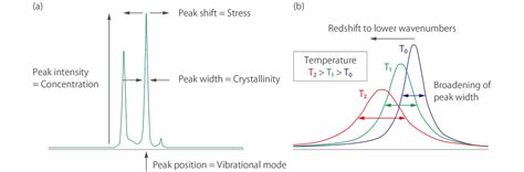 Introduction To Raman Spectroscopy ScienceEdge Inc