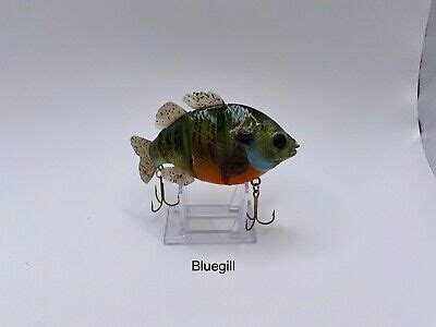 Custom Painted Jointed Swimbait Bluegill Panfish EBay