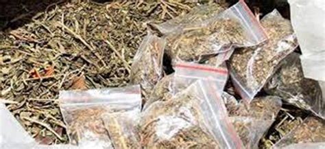 Railway Cops Nab 5 Seize10 Kg Ganja At Tirupati Railway Station