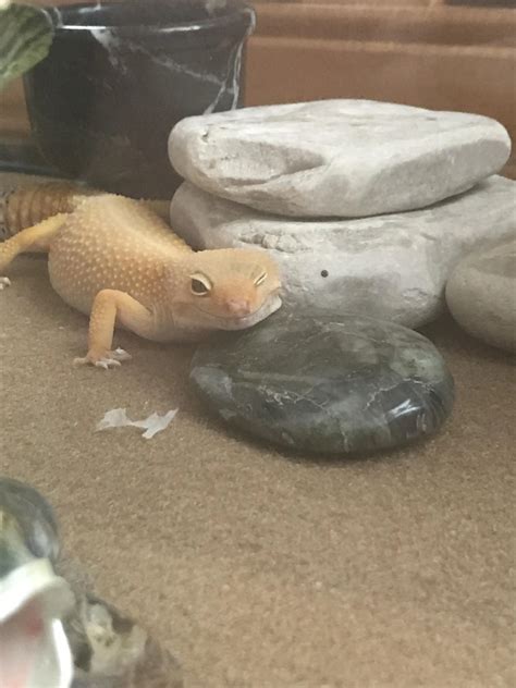 She flirt | Scrolller