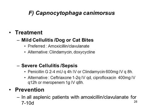 What Is Best Antibiotic For Cellulitis