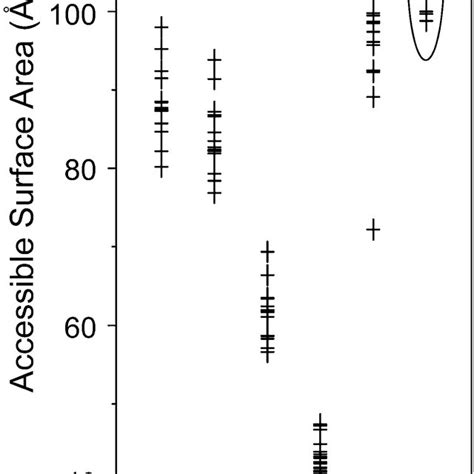 The Accessible Surface Area Of The Lysine Residues In High