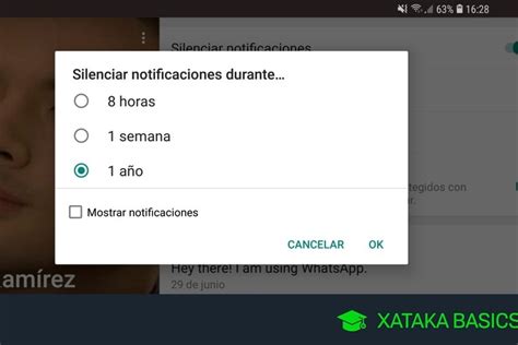 Cómo Silenciar Whatsapp Conversaciones Grupos Y Contactos