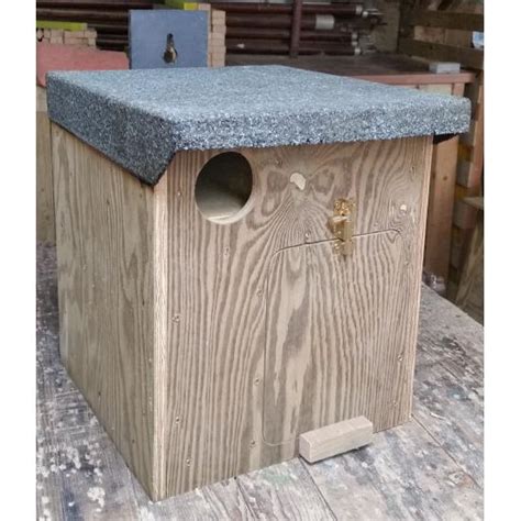 Little Owl Nest Box Indooroutdoor The Barn Owl Trust