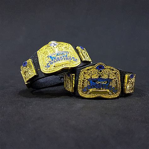 (RESERVED) WWE Mattel Classic Smackdown Tag Team Championship Belts ...