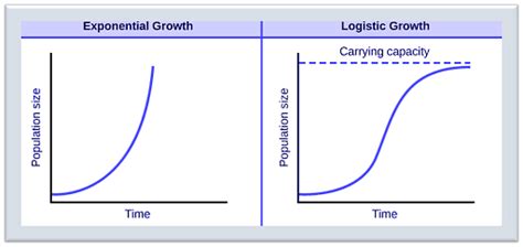 Logistic Function: Graph, Equation & Derivation