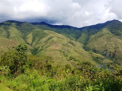 Paises Proyectan Restaurar Mil Millones De Hect Reas De Tierras