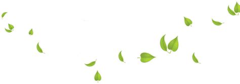 Fresh Green Leafs Transparent Png Png Mart