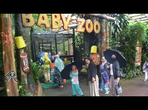 Rihlah Sd It Uwais Al Qorni Goes To Taman Safari Indonesia Youtube