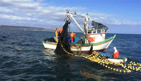 Sociedad Nacional De Industrias Ofrece Apoyo Para Formalizar La Pesca