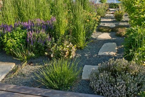 Gravel gardens: benefits, design tips, and best plants - MyGardenLife