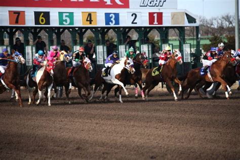 6 Types of Horse Races and Classes: Explained | Pet Keen