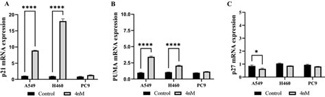 Low Dose Actd Preferentially Activates The P53 P21 Pathway A549 H460