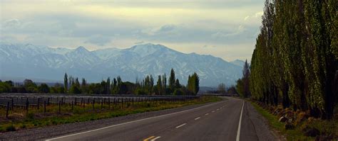 Mendoza, Argentina Travel Guide