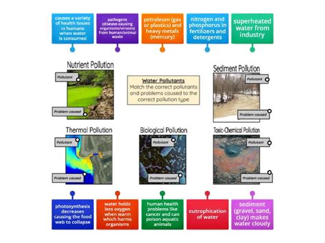 Water Pollution - Labelled diagram