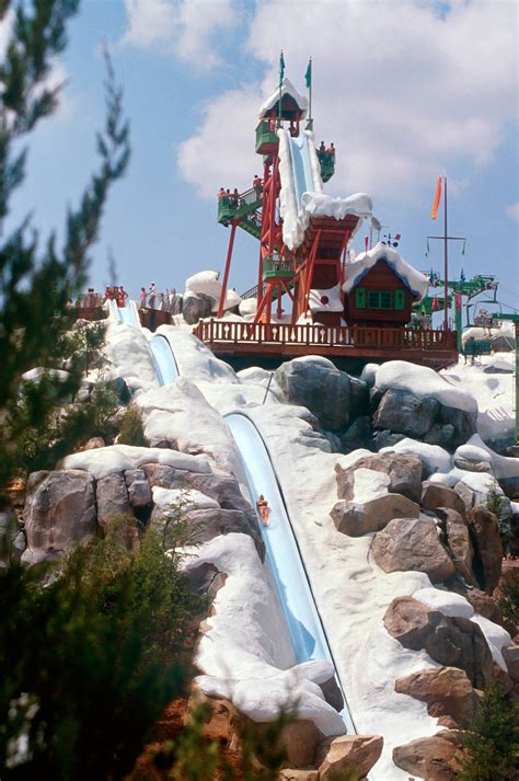 Five of the Coolest Water Slides at Walt Disney World Resort | Disney ...