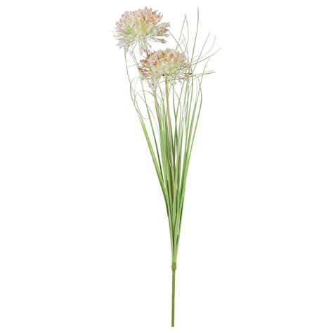 Floristik Fr Fleur Artificielle Boule Fleur Allium Oignon Ornemental