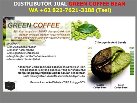 Wa 62 82276213288 Tsel Distributor Green Coffee Di Makassar By