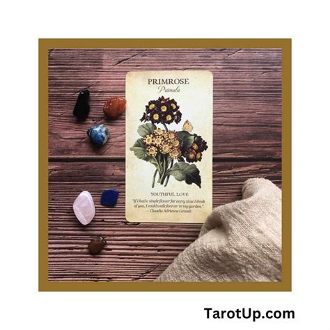 Special Card Systems TarotUp