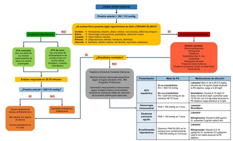 Algoritmo De Crisis Hipertensiva Doctora Juli UDocz