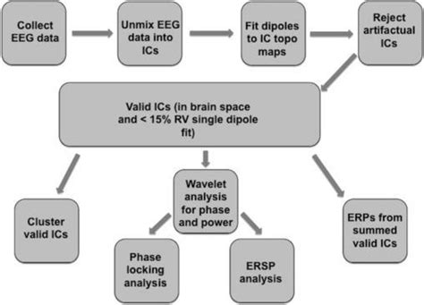 Eeg Data Analysis Pipeline Event Related Spectral Perturbations