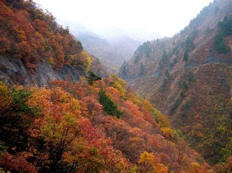 10 Famous Japanese Mountains to See in Autumn | Kyuhoshi