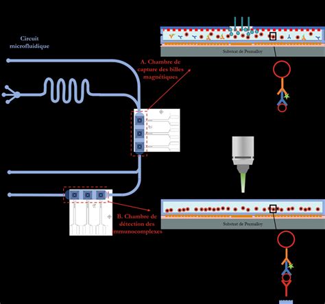 Concept G N Ral Du Patch Circuit Microfluidique Int Grant Les