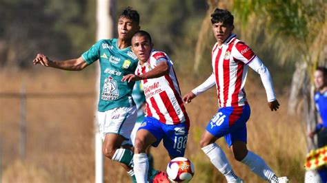 El Refuerzo Que Pidi Veljko Paunovic Para Sus Chivas Previo Al Inicio