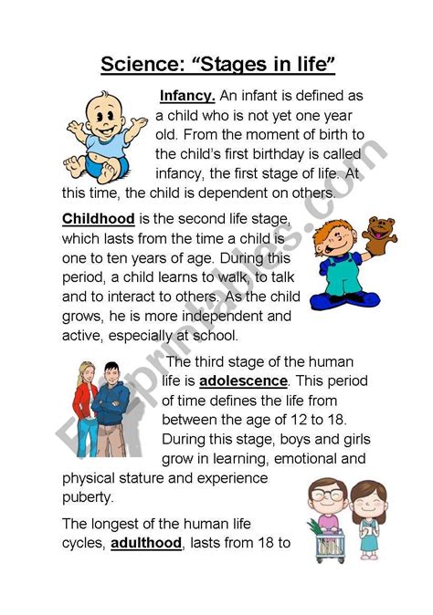 Human Life Cycle Stages For Kids Printables