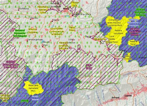 Tipuri De Arii Naturale Protejate I Diferen Ele Dintre Ele Descoper