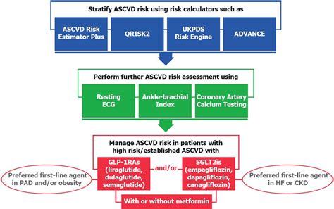 frontiers atherosclerotic cardiovascular disease risk stratification
