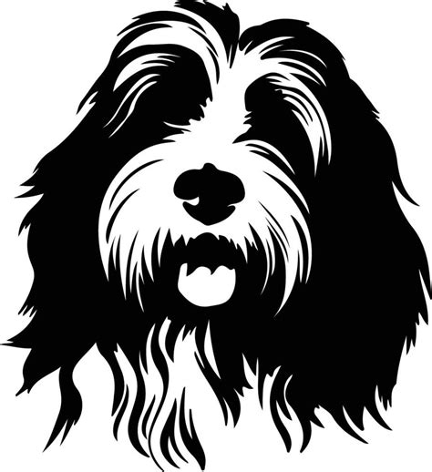 Bearded Collie Silhouette Portrait 38486124 Vector Art At Vecteezy