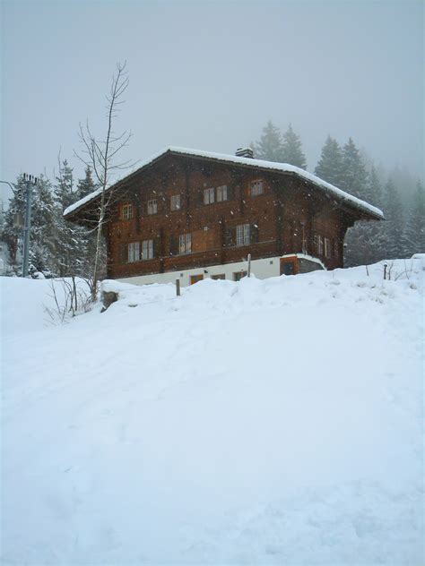 To Europe With Kids: Photo Friday: Swiss Chalets