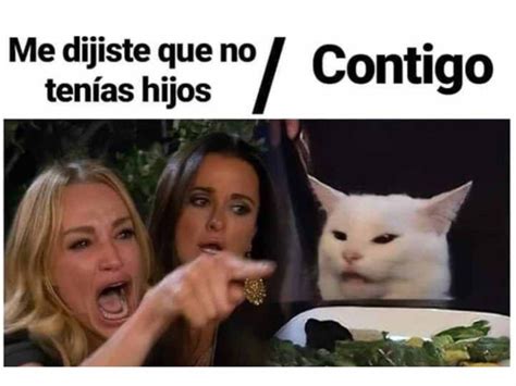 Esta Es La Historia Detrás De La Mujer Gritándole A Un Gato Sitename