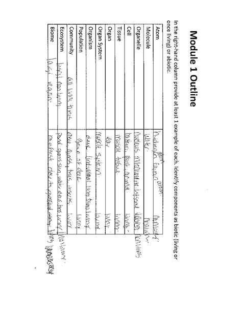 C190 M1 M1 Study Guide And Note Module 1 Outline In The Column